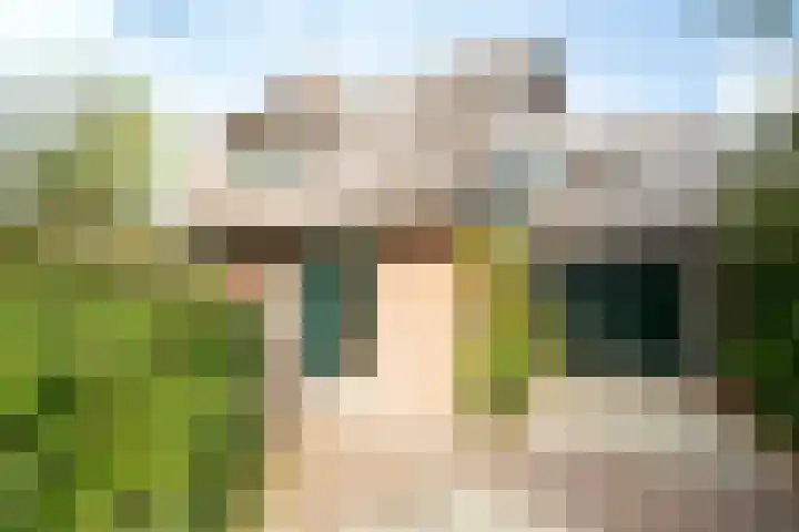 De Steenakkers 40 Belt-Schutsloot thumbnail 4