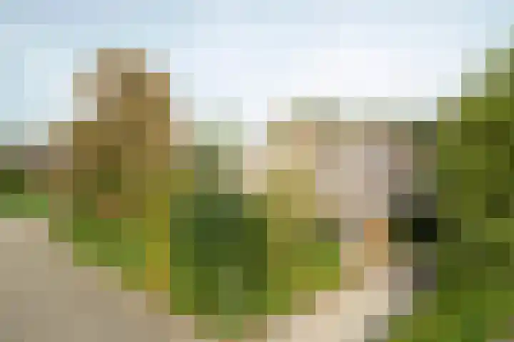 De Steenakkers 40 Belt-Schutsloot thumbnail 5