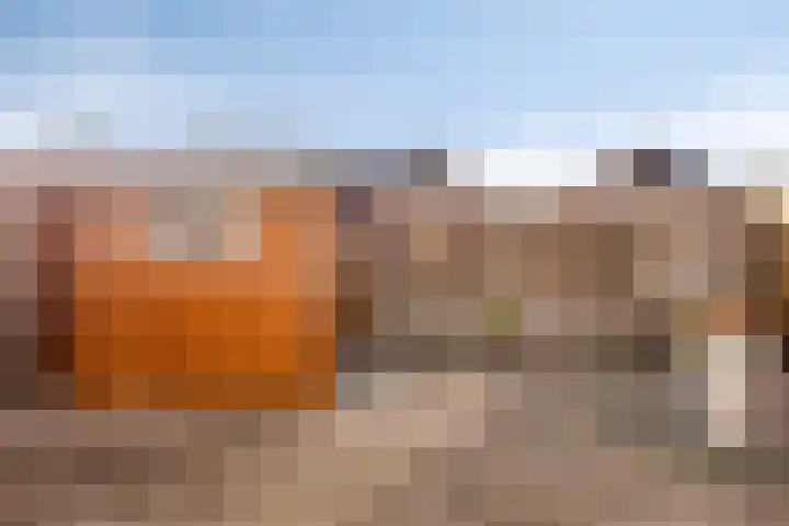 De Steenbok 3 Oosterblokker thumbnail 20