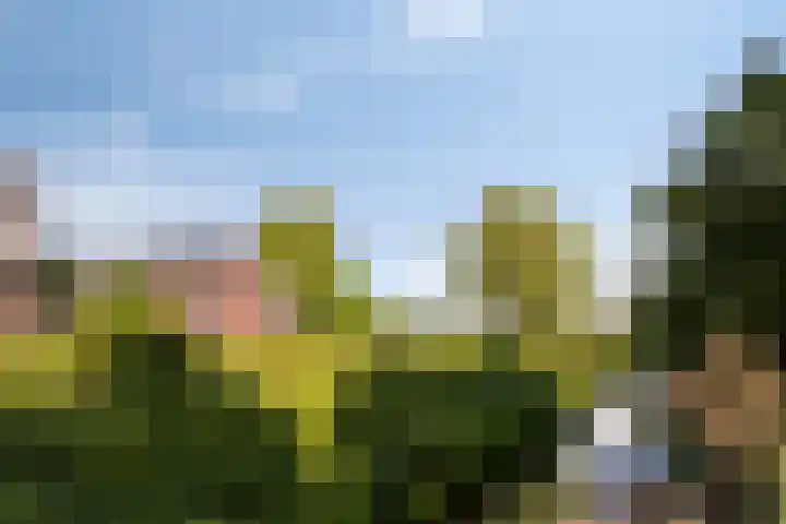 De Steenbok 3 Oosterblokker thumbnail 24
