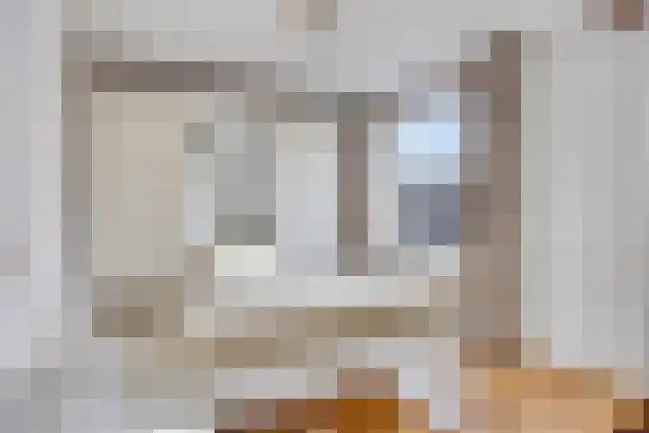 De Steenbok 3 Oosterblokker thumbnail 4