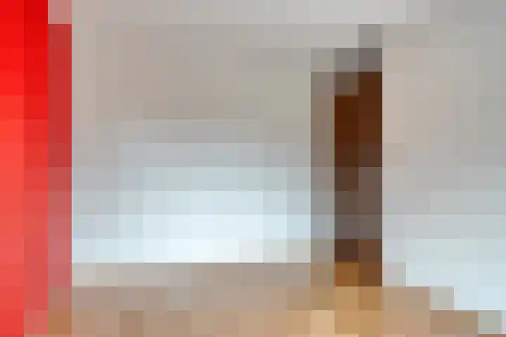 De Steenderens 2 Westervoort thumbnail 18
