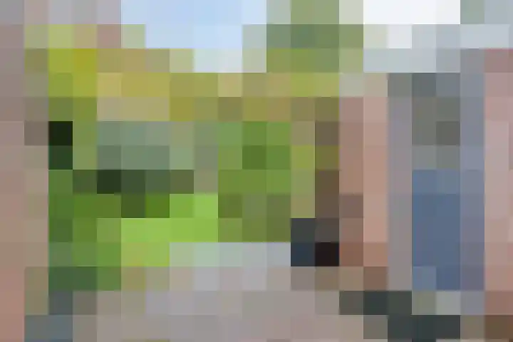 De Steenderens 2 Westervoort thumbnail 30