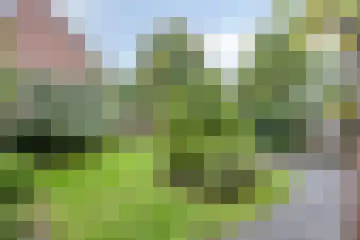 De Steenderens 2 Westervoort thumbnail 31