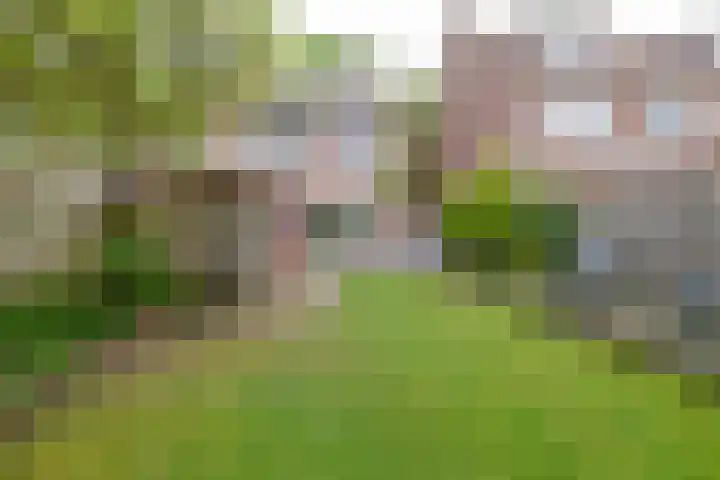 De Steenderens 6 Westervoort thumbnail 30