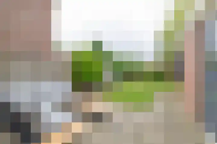 De Steenderens 6 Westervoort thumbnail 31