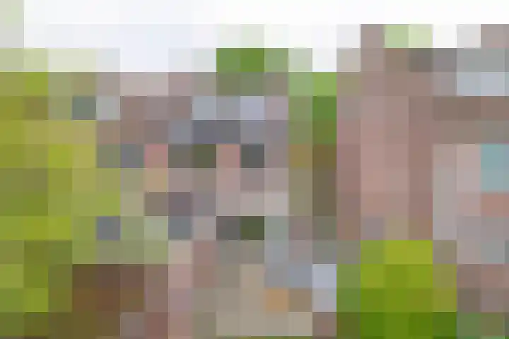 De Steenderens 6 Westervoort thumbnail 32