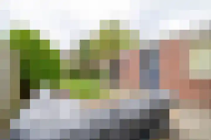 De Steenderens 6 Westervoort thumbnail 33