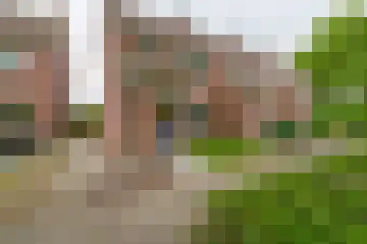 De Steenderens 6 Westervoort thumbnail 35
