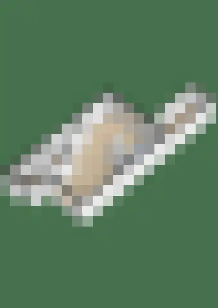 De Steenderens 6 Westervoort thumbnail 37