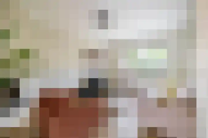 De Steenderens 6 Westervoort thumbnail 4
