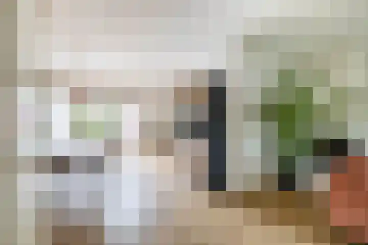 De Steenderens 6 Westervoort thumbnail 7