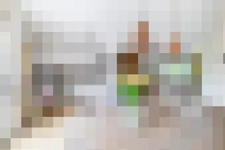 De Steenderens 6 Westervoort thumbnail 9