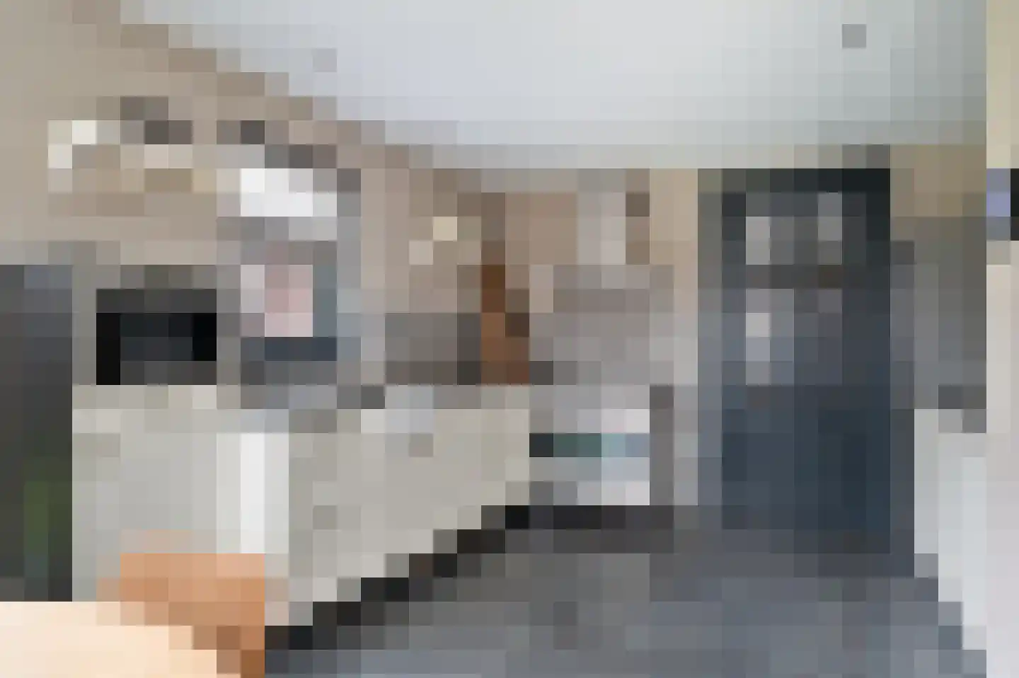 De Steenen Kamer 41 Schijndel thumbnail 11