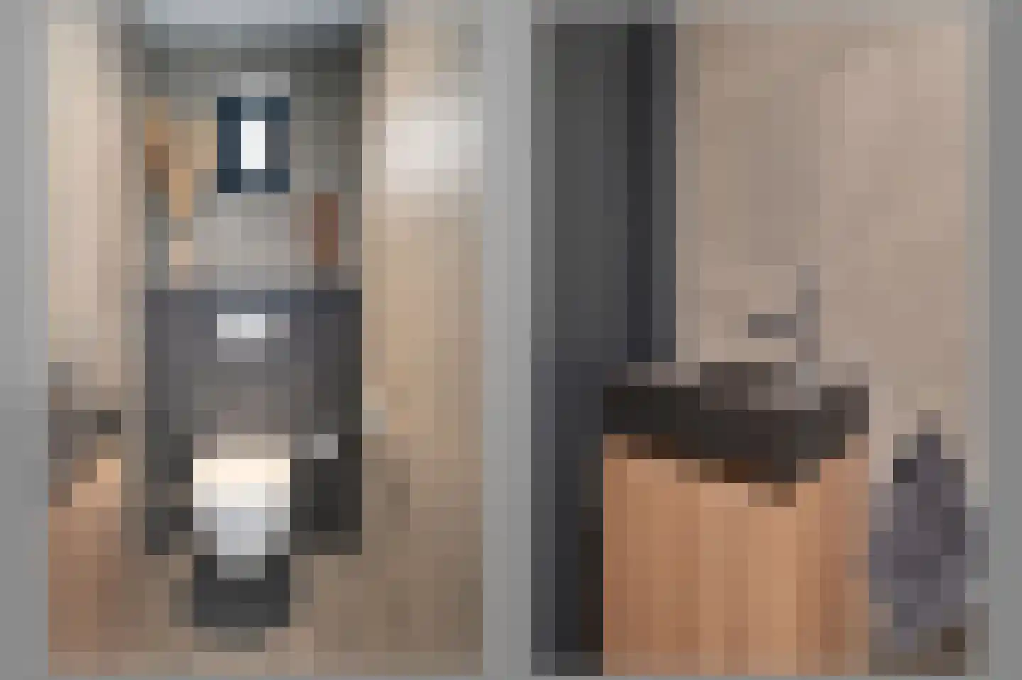De Steenen Kamer 41 Schijndel thumbnail 15