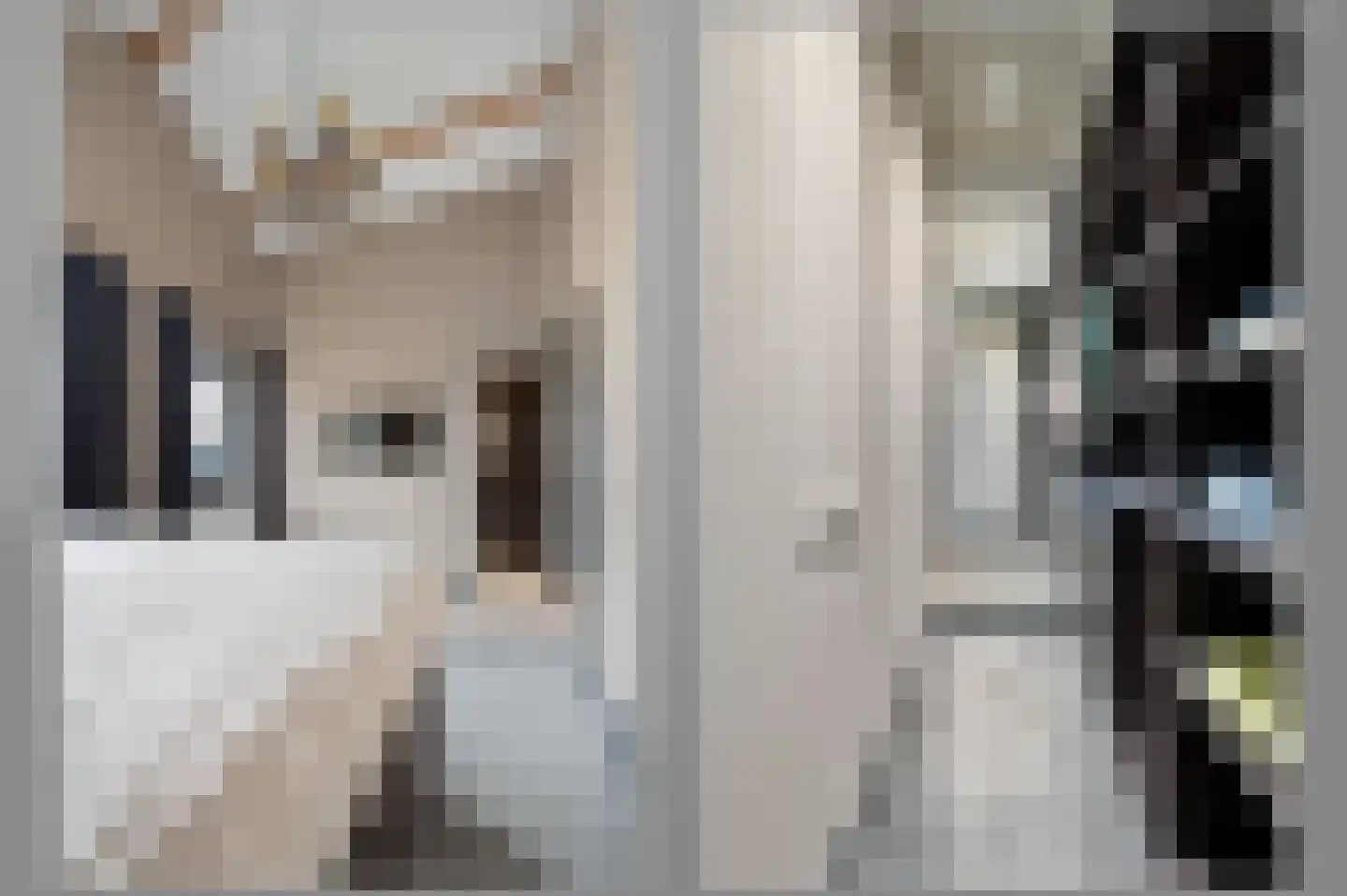 De Steenen Kamer 41 Schijndel thumbnail 25