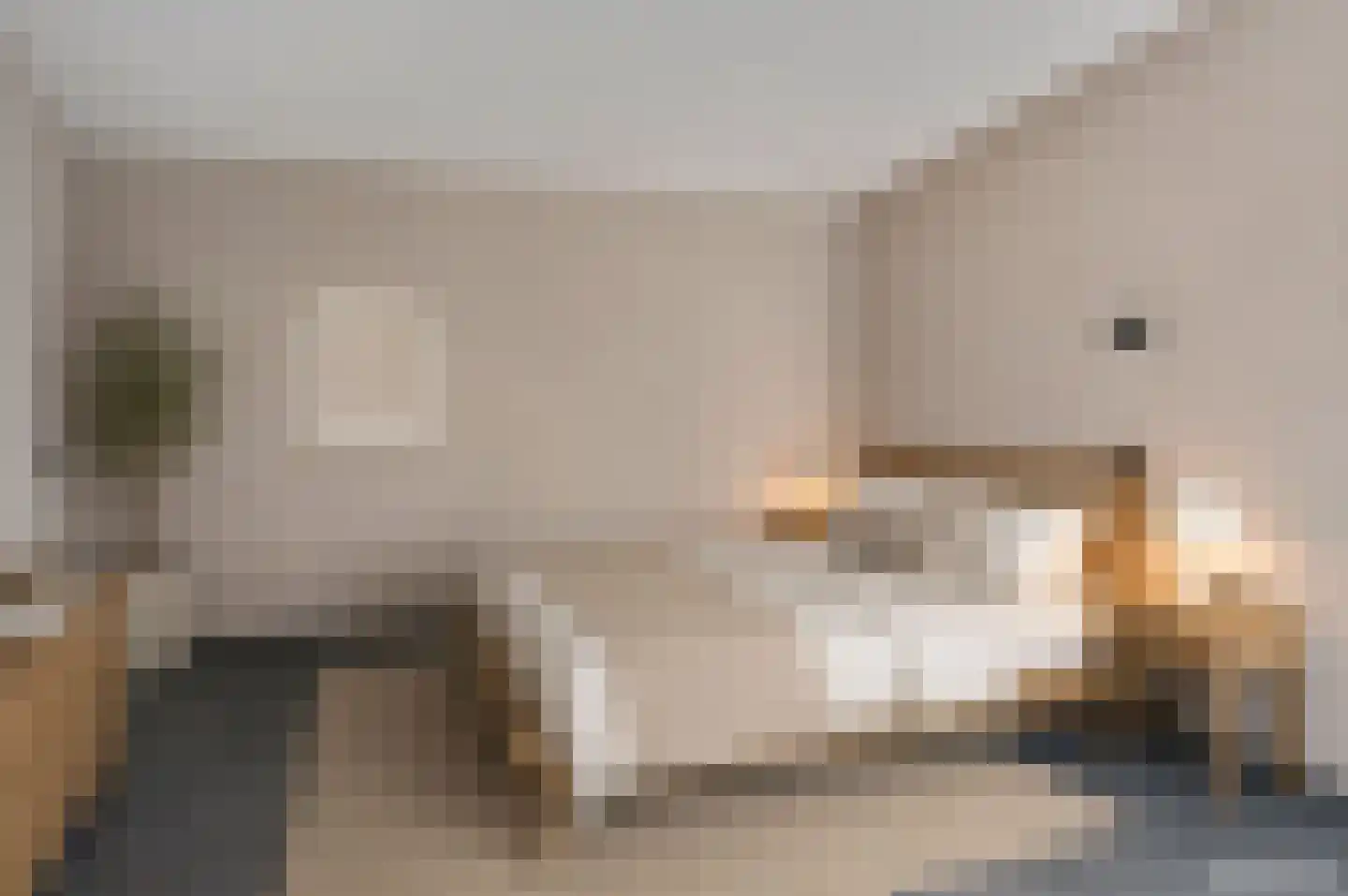 De Steenen Kamer 41 Schijndel thumbnail 25