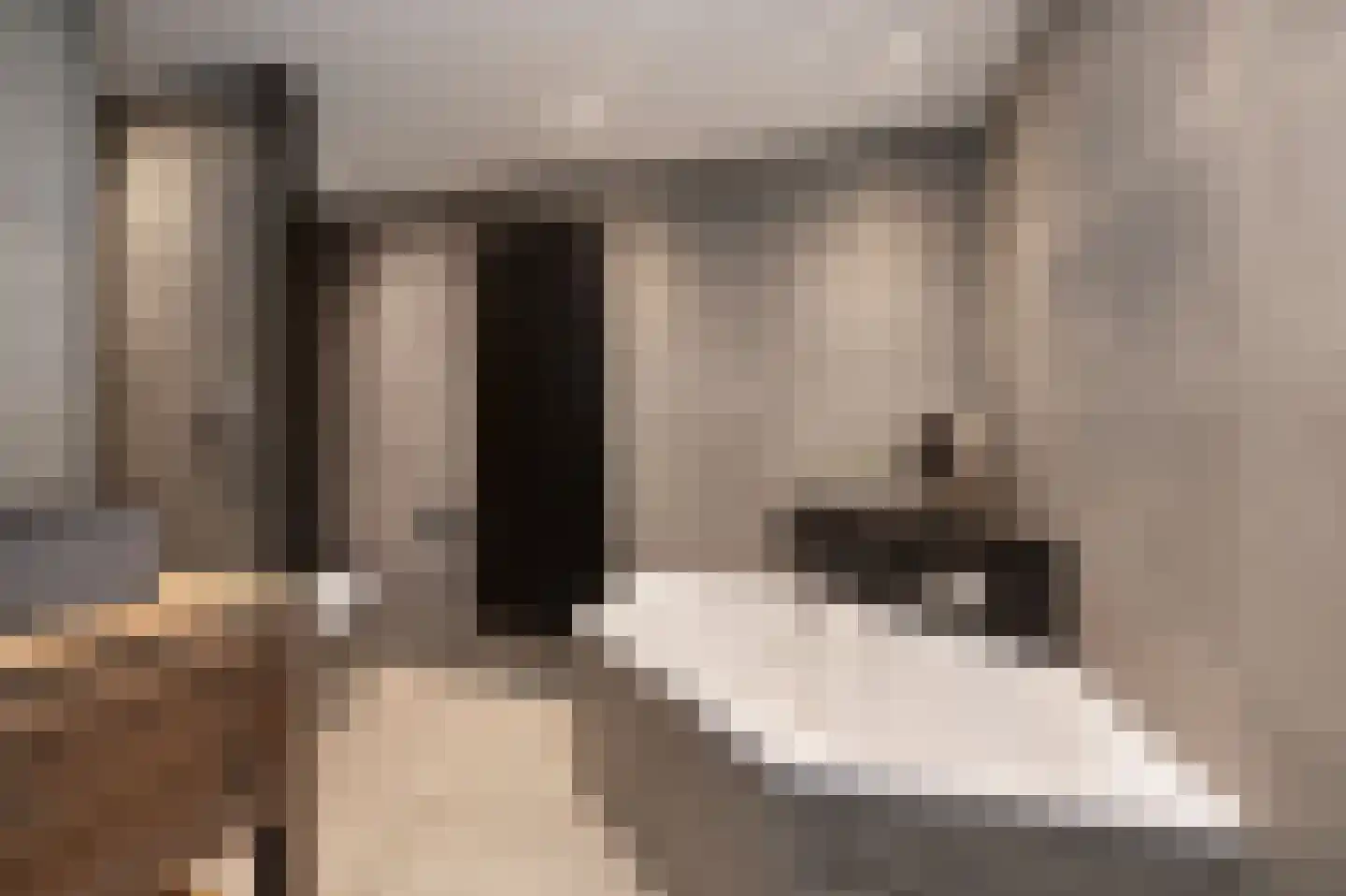 De Steenen Kamer 41 Schijndel thumbnail 32