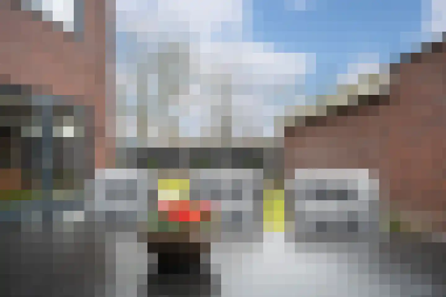 De Steenen Kamer 41 Schijndel thumbnail 36