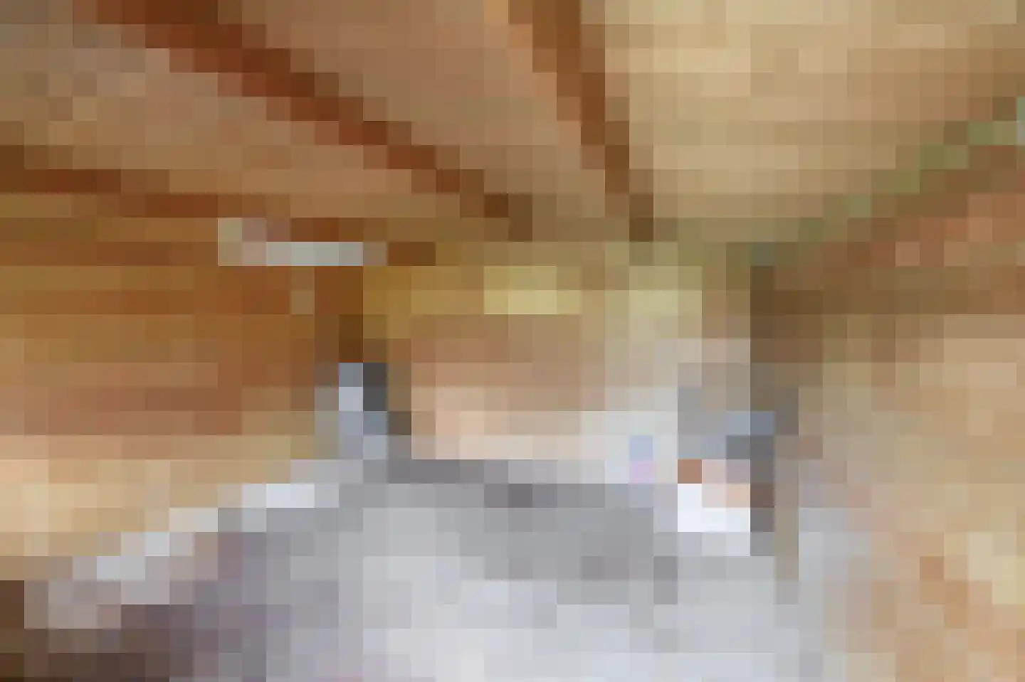 De Steenen Kamer 9 Schijndel thumbnail 23