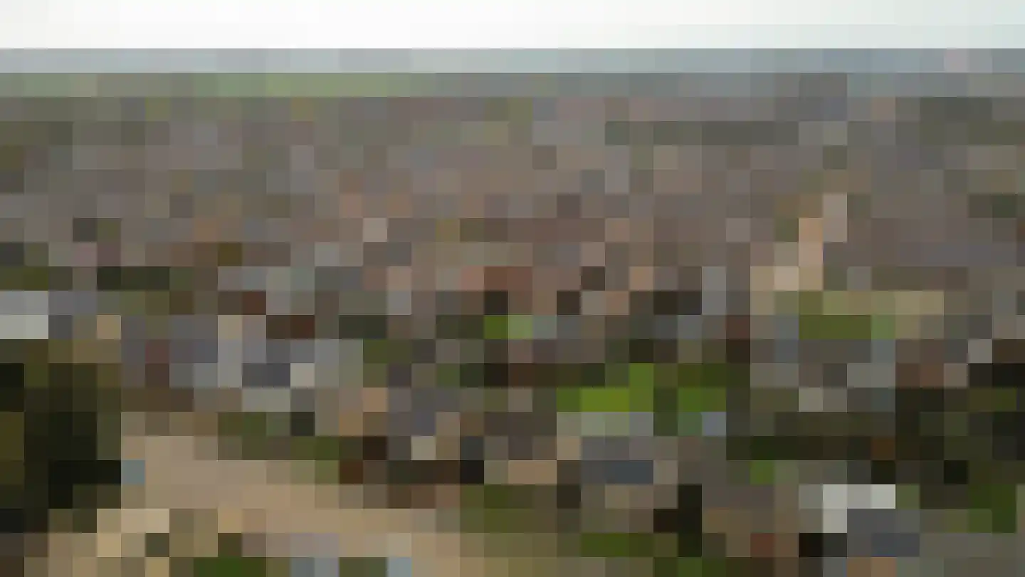 De Steenen Kamer 9 Schijndel thumbnail 32