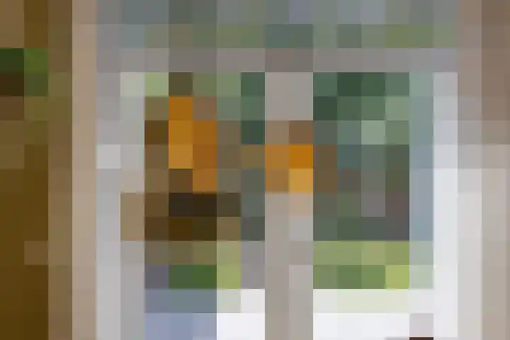 De Steenenborch 39 Nieuwkuijk thumbnail 11