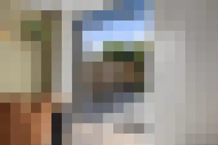 De Steenenborch 39 Nieuwkuijk thumbnail 13