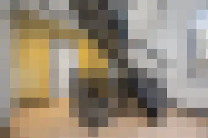 De Steenenborch 39 Nieuwkuijk thumbnail 21