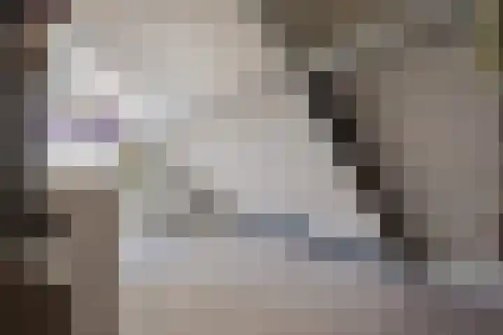 De Steenenborch 39 Nieuwkuijk thumbnail 32