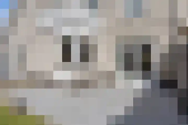 De Steenenborch 39 Nieuwkuijk thumbnail 40