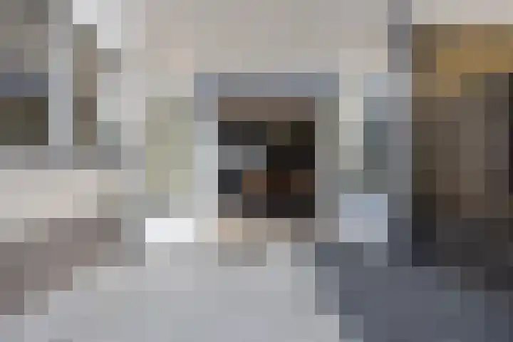 De Steenenborch 39 Nieuwkuijk thumbnail 41