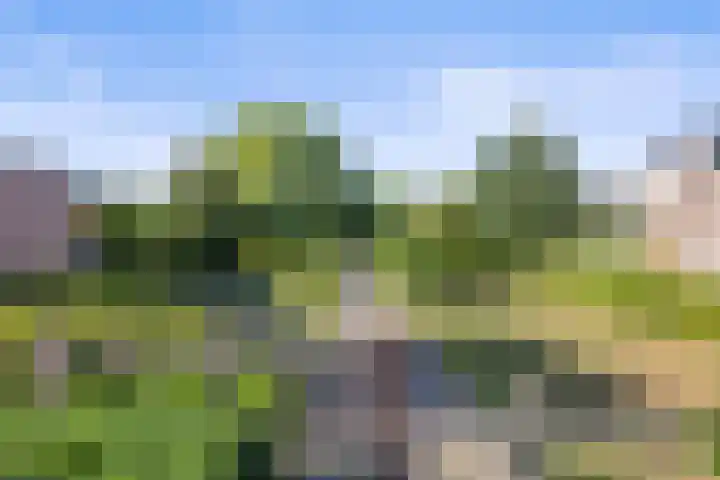 De Steenenborch 39 Nieuwkuijk thumbnail 52