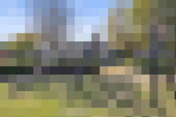 De Steenenborch 39 Nieuwkuijk thumbnail 53