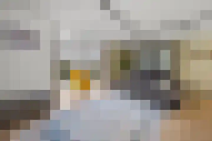 De Steenenborch 39 Nieuwkuijk thumbnail 8