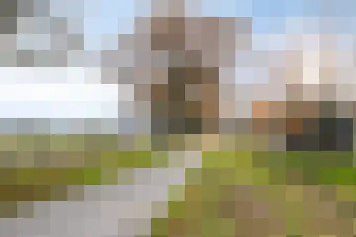 De Steenenborch 7 Nieuwkuijk thumbnail 24