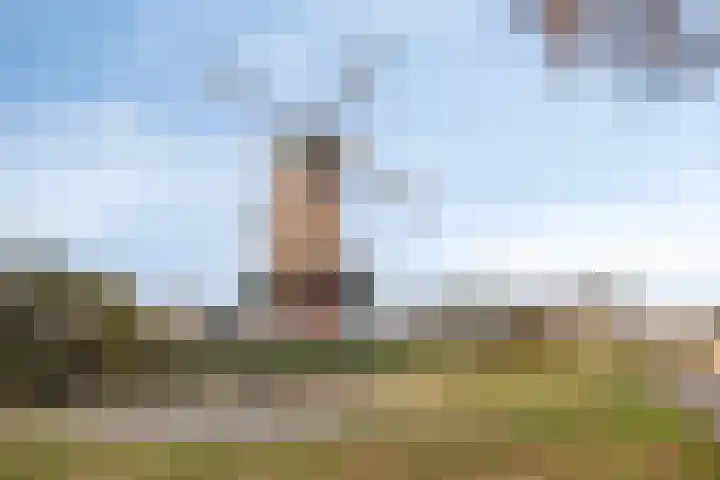 De Steenenborch 7 Nieuwkuijk thumbnail 25