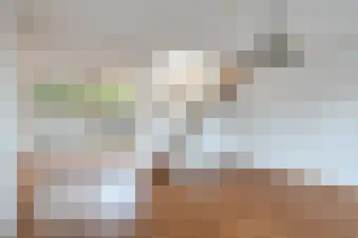 De Steenenborch 7 Nieuwkuijk thumbnail 7