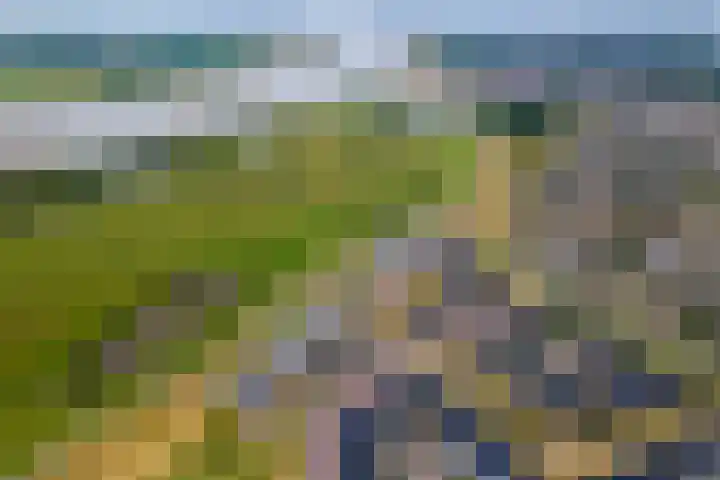 de Steenenpaal 7 Tiel thumbnail 100