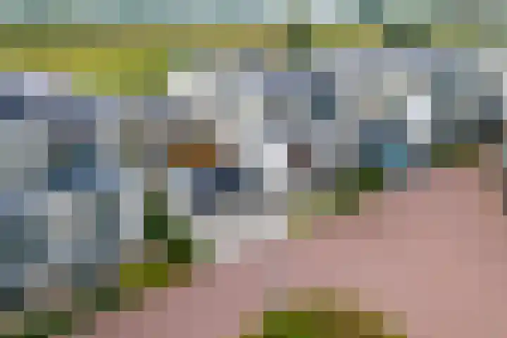 de Steenenpaal 7 Tiel thumbnail 102