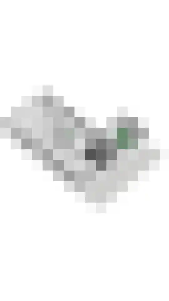 de Steenenpaal 7 Tiel thumbnail 104