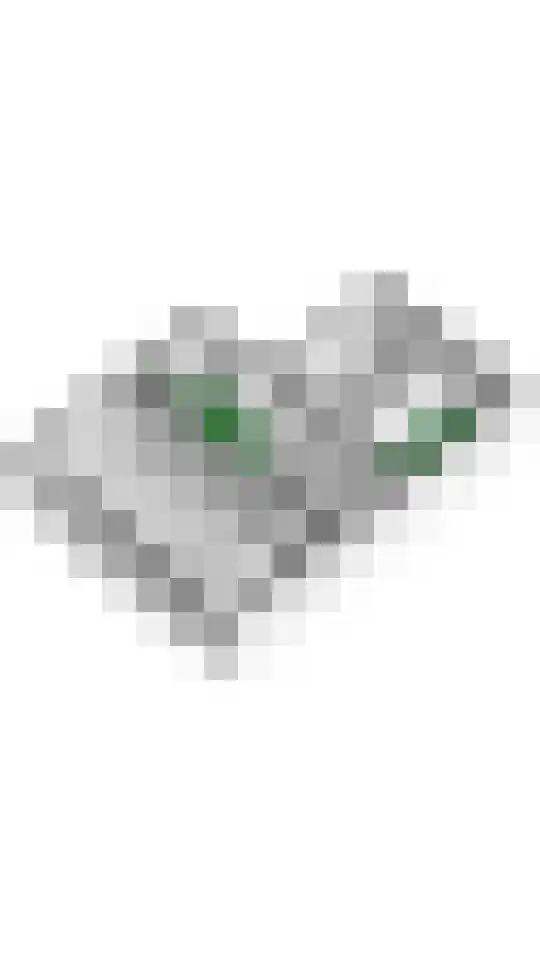 de Steenenpaal 7 Tiel thumbnail 108