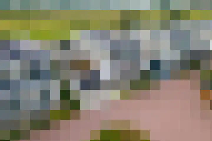 de Steenenpaal 7 Tiel thumbnail 12