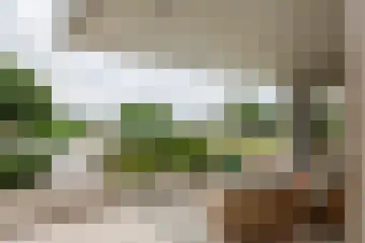 de Steenenpaal 7 Tiel thumbnail 15