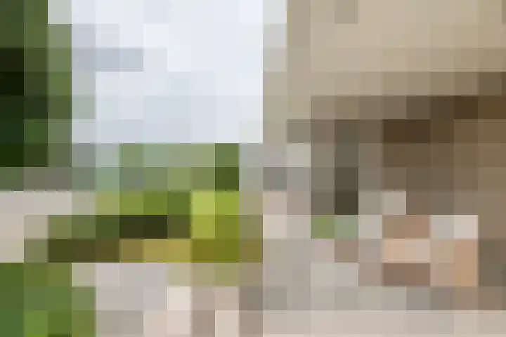 de Steenenpaal 7 Tiel thumbnail 16