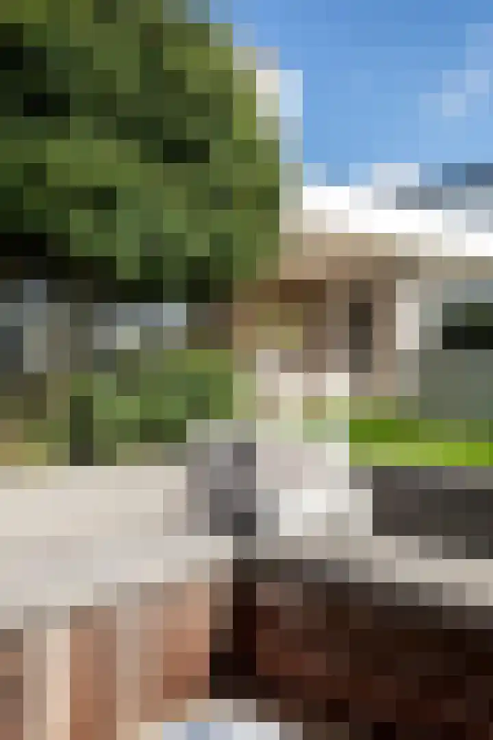 de Steenenpaal 7 Tiel thumbnail 18