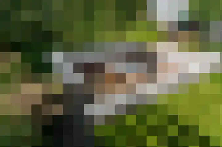 de Steenenpaal 7 Tiel thumbnail 19