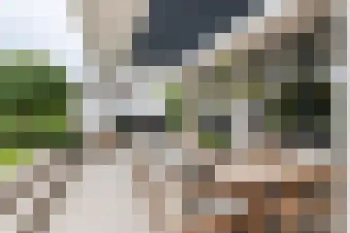 de Steenenpaal 7 Tiel thumbnail 23
