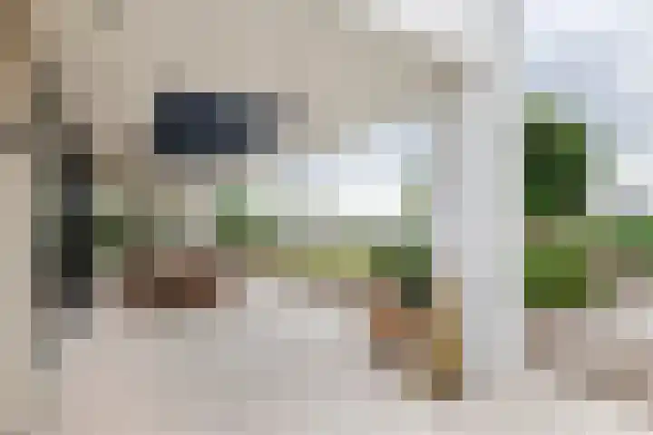 de Steenenpaal 7 Tiel thumbnail 24