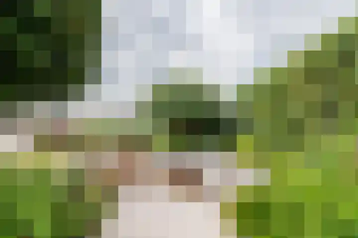 de Steenenpaal 7 Tiel thumbnail 25