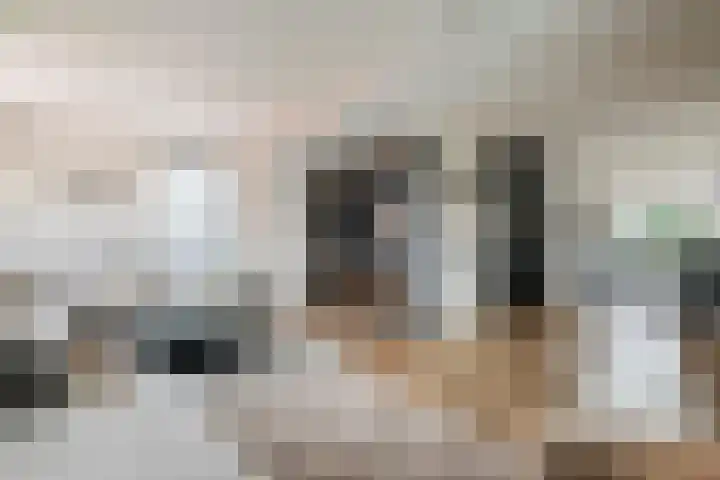 de Steenenpaal 7 Tiel foto 3